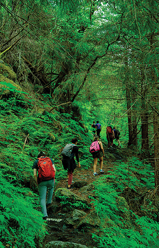 a group of people hiking in the woods