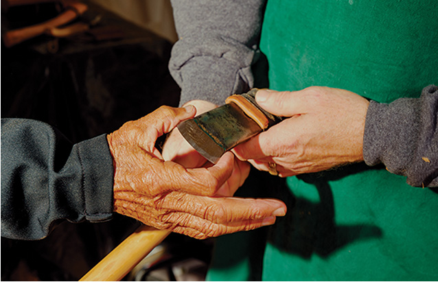 a close-up of a person's hands