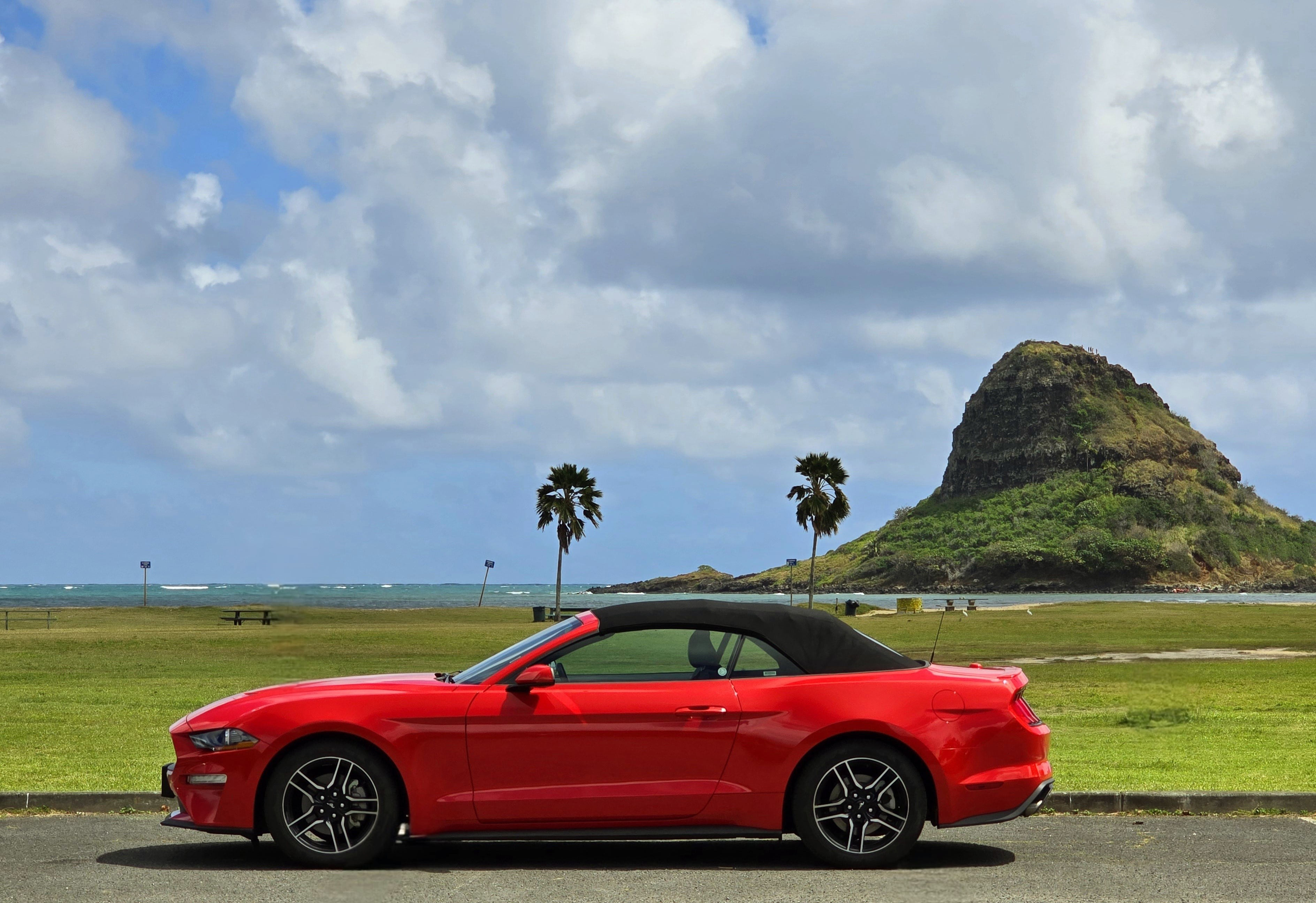 Car Rental